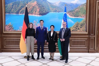 Сенат активизирует сотрудничество с Бундестагом