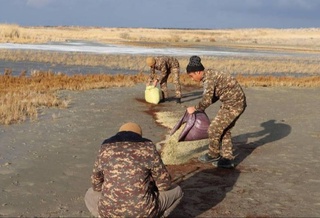 Установлен порядок проведения биотехнических мероприятий по охране животного мира
