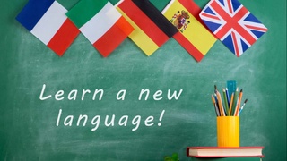 Определены сроки сдачи экзамена по иностранному языку