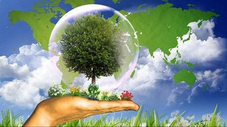 На Земле осталось менее 1 процента территорий с чистым воздухом