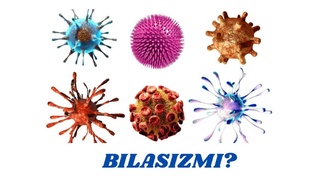 How long do viruses live?