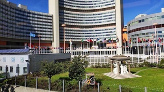 Узбекистан укрепляет сотрудничество с ОДВЗЯИ