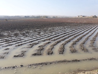 Suv obi hayot, undan oqilona foydalanish har birimizning burchimiz