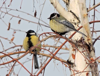 Прогноз погоды на 29 декабря