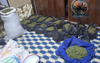 Чироқчи туманида фуқаронинг уйидан қарийб 21 кг гиёҳвандлик воситаси олинди