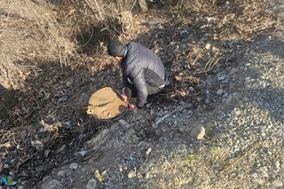 2 дона ёнғоқнинг кесилиши қимматга тушди