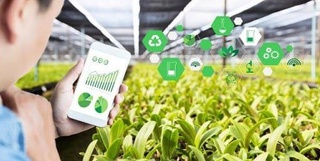 Қишлоқ хўжалиги маҳсулотларини ишлаб чиқаришда қандай қилиб барқарор ўсишга эришиш мумкин?