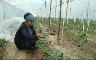 Ҳар бир хонадондан ҳол сўраляпти, кўмак бериляпти