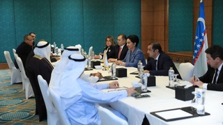 Олий Мажлис Сенатының Төрайымы Мысыр Араб  Республикасы Сенатының Төрағасымен кездесті