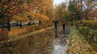 Ҳафта охирига келиб ҳаво ҳарорати пасаяди