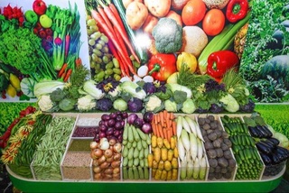 Фонды продовольственной безопасности обеспечат закладку сельхозпродукции на зиму