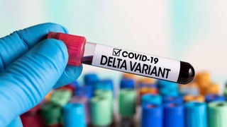 «Delta»-штамм COVID-19 признан самым распространенным в Узбекистане