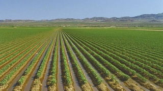 Реформирование водного сектора Узбекистана – путь к устойчивому развитию государства