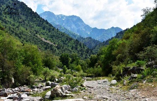 Oʻtayotgan ish haftasida ob-havoning salqinlanishi kutiladi