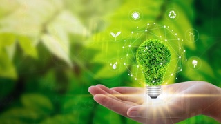 What will the rejection of gas in favor of "green energy" lead to?