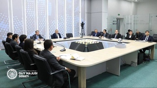 Предварительно рассмотрены вопросы, включенные в повестку дня пленарного заседания