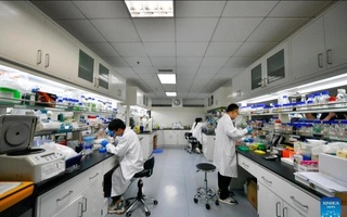 “Пўлатдан 10 баравар кучли”: Хитой дунёдаги энг мустаҳкам углерод толасини яратди