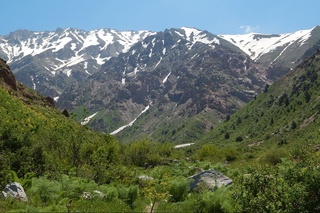 7-iyul kuni qanday ob-havo bo‘lishi ma’lum qilindi