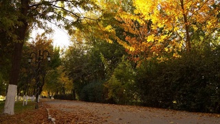 Hafta boshida kutilayotgan ob-havo maʼlumoti eʼlon qilindi