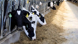 Важное мероприятие в повышении доходов и улучшении качества продукции