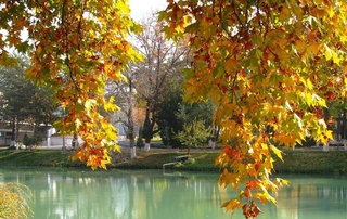 Dam olish kunlari havo harorati biroz koʻtariladi