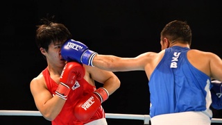 Четырнадцать боксеров Узбекистана - в финалах чемпионата Азии!