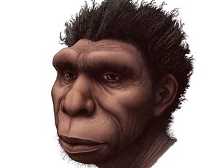 Olimlar odamzodning yana bir qadimiy ajdodini aniqladi