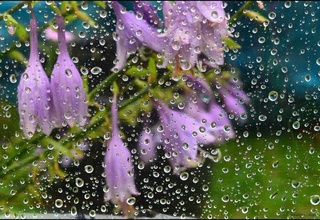 Прогноз погоды на день 10 марта