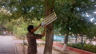 В Навоийской области продолжается массовое мероприятие «Пусть дерево дышит»