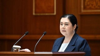 The activities of the Commissioner for Human Rights (Ombudsman) in 2024 have been discussed in the Senate