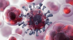 “Дельтанның” қауіпті екендігі анықталды