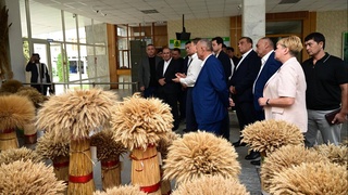 New varieties of grain crops will be imported to Uzbekistan from Russia