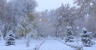 Декабрь айында бизди қандай ҳаўа райы күтип атыр?