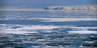 AQShlik ofitser Rossiyaning Komandor orollarini sotib olishni taklif qildi