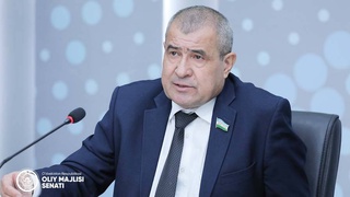 Предварительно обсуждены вопросы очередного пленарного заседания Сената