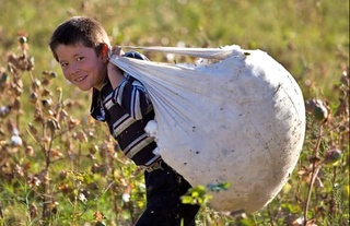 Ўзбекистон болалар меҳнатини бартараф этиш бўйича муҳим натижаларга эришди