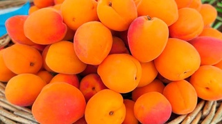 Экспорт абрикосов составил 10,9 млн долларов США