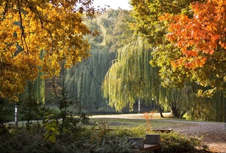 Weather forecast for October 8th