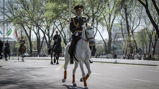 В Ташкенте пройдет Конный парад, посвященный Наврузу