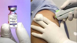 Дар Ҳиндустон дар ҷаҳон аввалин ваксинаи ДНК бар зидди COVID-19 офарида шуд