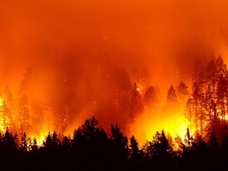 Turkiyada o'rmon yong'inlari yuzlab gektar maydonni qamrab oldi