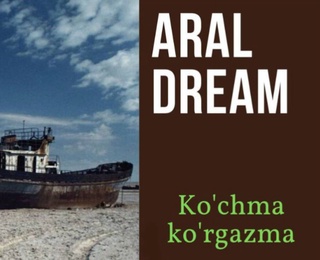 The final exhibition of the Aral Dream project will be held in Tashkent