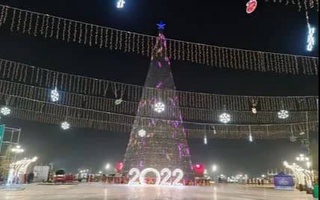 Ўзбекистониён метавонанд то ба арчаи асосии солинавӣ бепул расанд