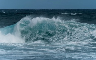 Подкисление Мирового океана достигло критического уровня, заявили ученые