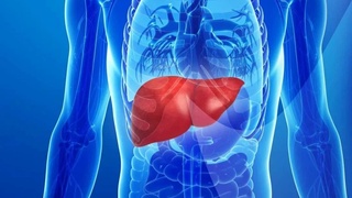 Nima sababdan jigar kattalashadi?