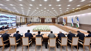 Xususiy trenerlarga oʻzini oʻzi band qilish huquqi beriladi