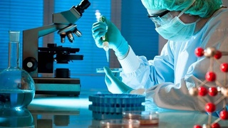 В Австралии создали модель эмбриона человека из клеток кожи