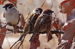 Прогноз погоды на 25 декабря