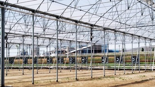 Оҳангаронда Испания билан янги лойиҳа