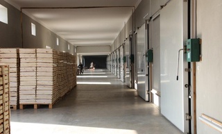 6 миллиард 50 миллион сўмлик музлаткичли омборхона ишга туширилди